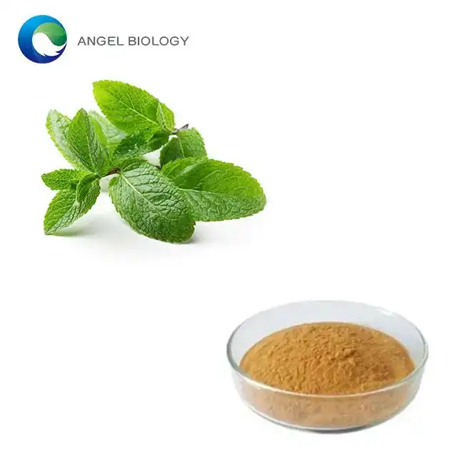 The Process Behind Peppermint Extract Powder: From Herbal Extract to Supplement